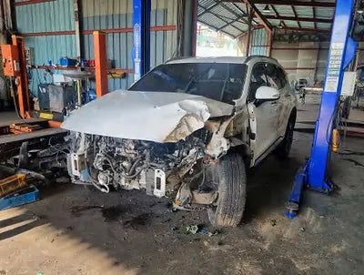 2019 Hyundai Santa FE KMHS381BBKU019825 VIN:KMHS381BBKU019825
