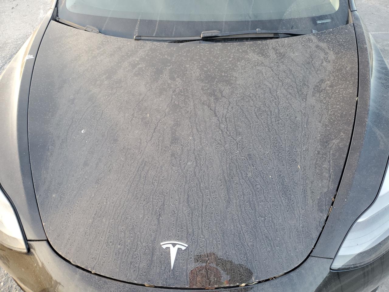 2022 TESLA MODEL 3 VIN:5YJ3E1EAXJF164431