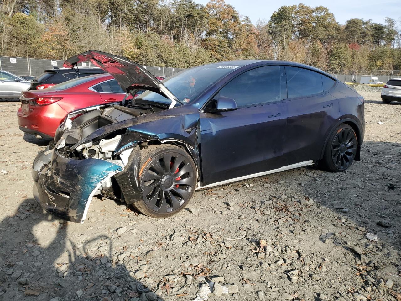 2023 TESLA MODEL Y VIN:7SAYGDEF4PF806537