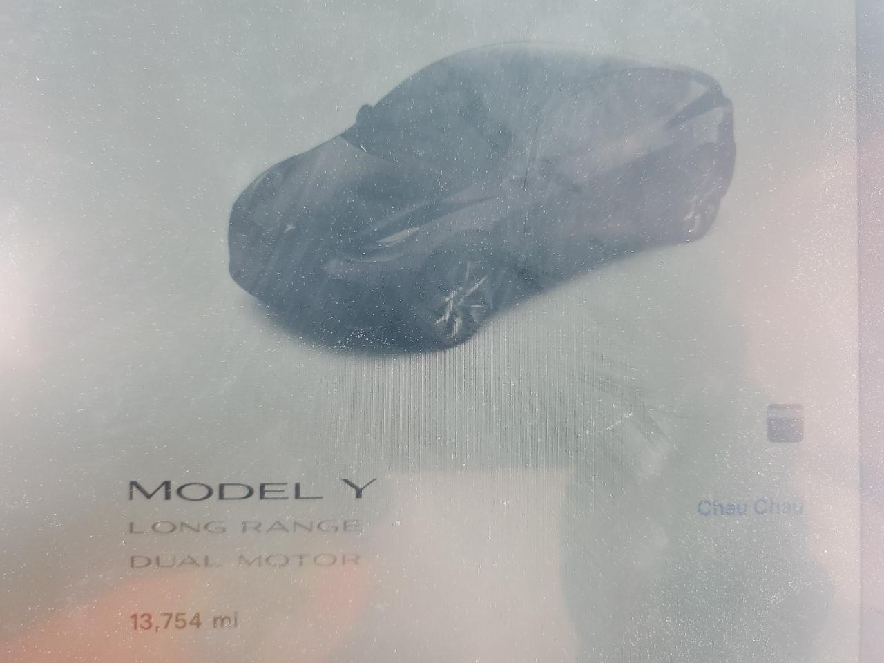 2023 TESLA MODEL Y VIN:7SAYGDEE0PA080275