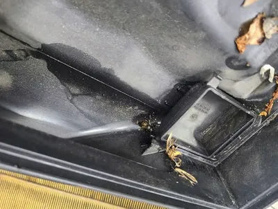 2015 Mercedes-Benz S 500 WDDUG8FB8FA170037 VIN:WDDUG8FB8FA170037