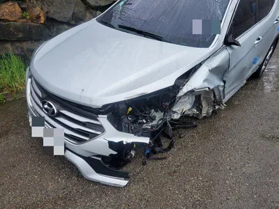 2016 Hyundai Santa FE KMHSW81UBHU717153 VIN:KMHSW81UBHU717153