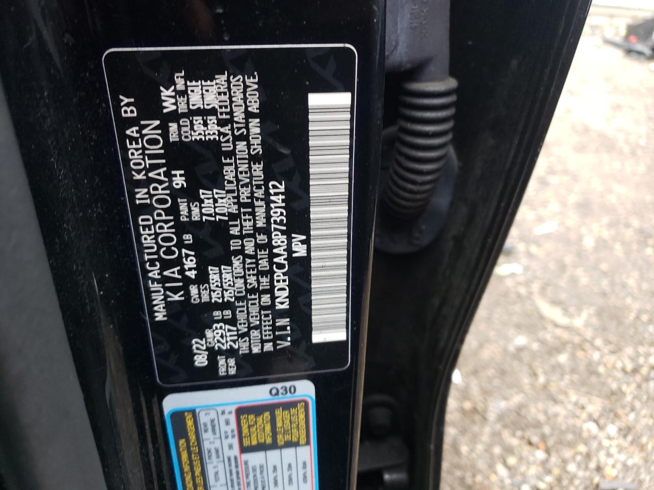 2023 KIA SELTOS LX VIN:KNDEPCAA8P7391412