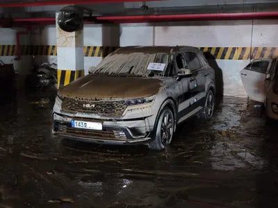 2021 Kia Sorento KNARH81GBNA084811 VIN:KNARH81GBNA084811