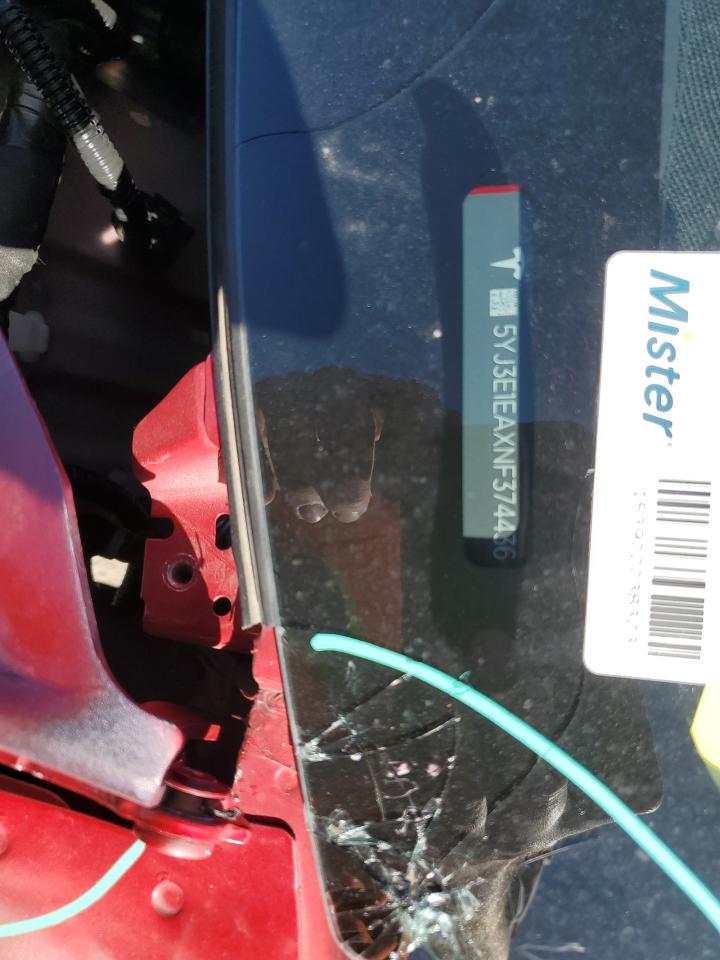 2022 TESLA MODEL 3 VIN:5YJ3E1EAXNF374436
