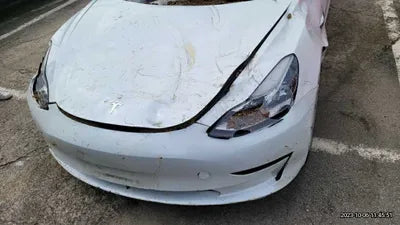 2020 Tesla Model 3 5YJ3E1EB0LF725098 VIN:5YJ3E1EB0LF725098