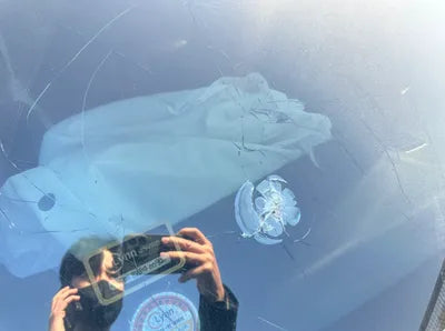 2017 BMW 530 WBAJD9103HWC10645 VIN:WBAJD9103HWC10645