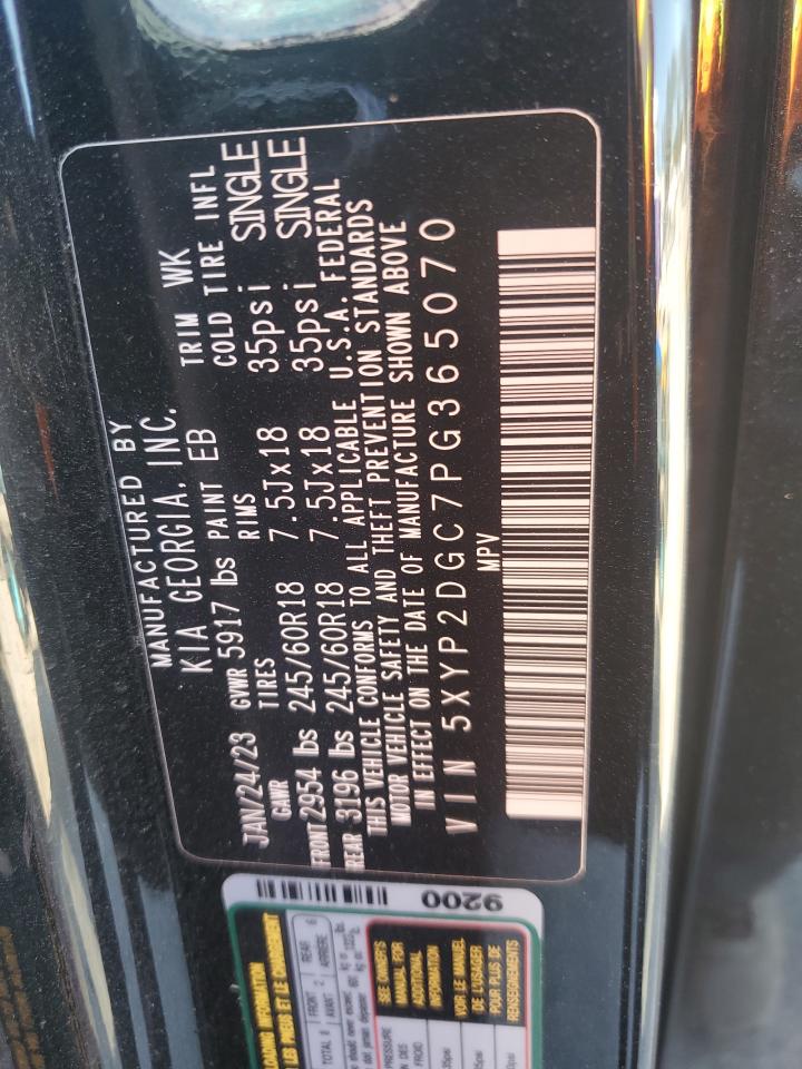 2023 KIA TELLURIDE LX VIN:5XYP2DGC7PG365070