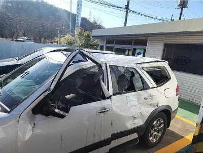 2017 Kia Mohave 829KMKNAKN814DHA1 VIN:829KMKNAKN814DHA1