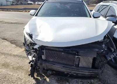 2016 Hyundai Santa FE KMHSW81UDGU557702 VIN:KMHSW81UDGU557702