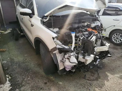 2021 Kia Sorento 656KMKNARH81GBMA0 VIN:656KMKNARH81GBMA0