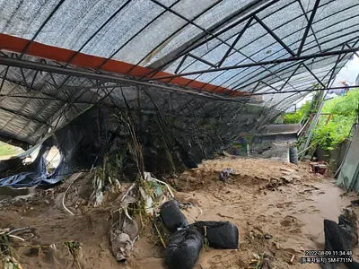 2020 Hyundai Santa FE NONE VIN: