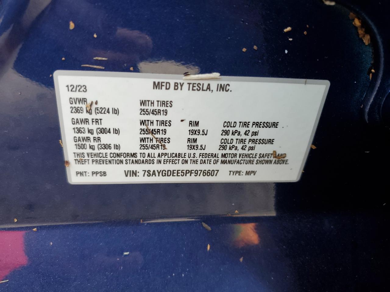 2023 TESLA MODEL Y VIN:7SAYGDEE5PF976607