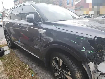 2021 Kia Sorento KNARK81GBMA049343 VIN:KNARK81GBMA049343