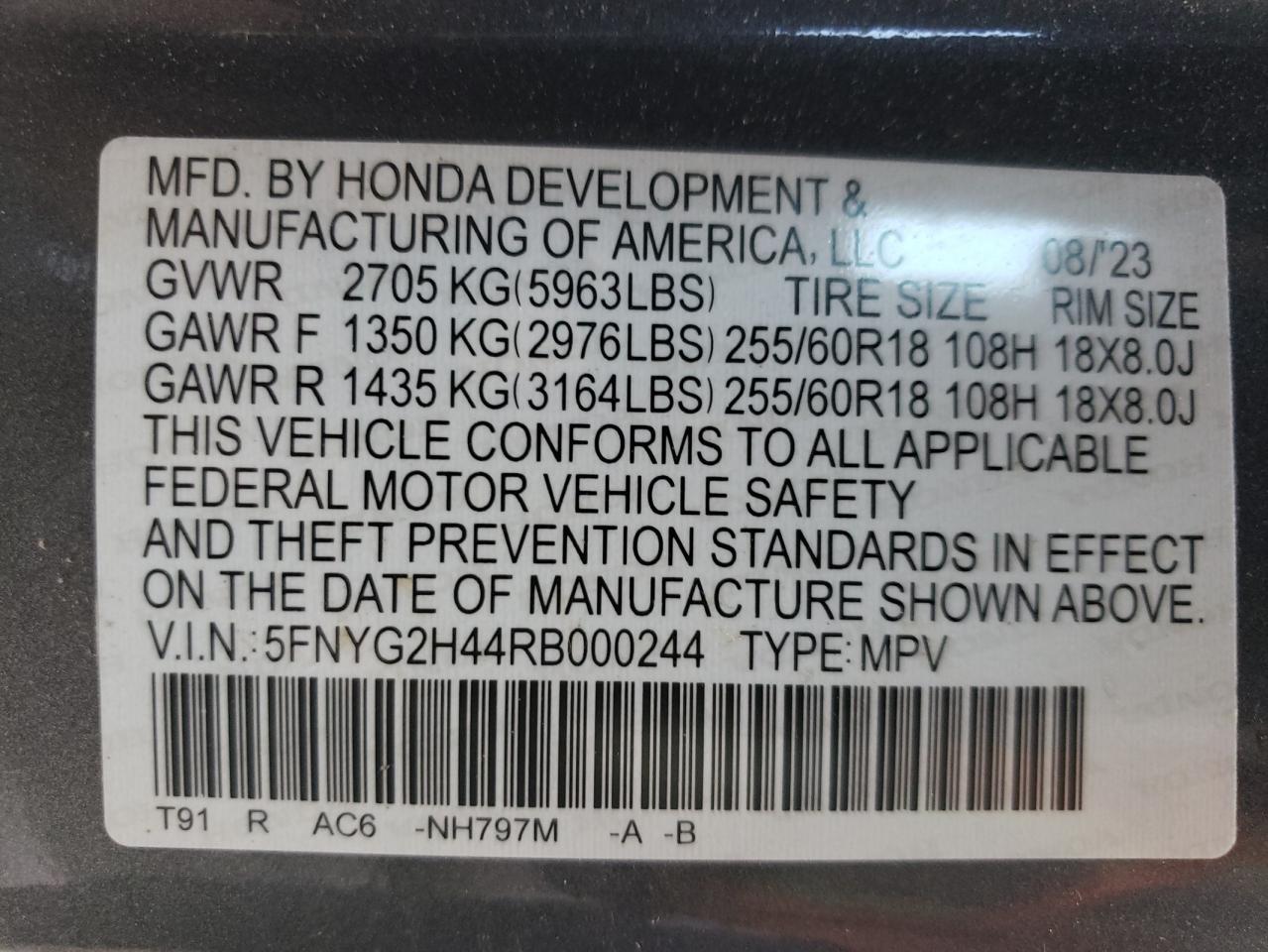 2024 HONDA PILOT EXL VIN:5FNYG2H44RB000244