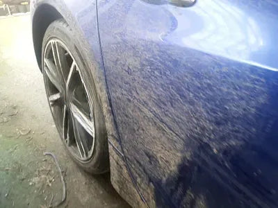 2016 BMW B4 NONE VIN: