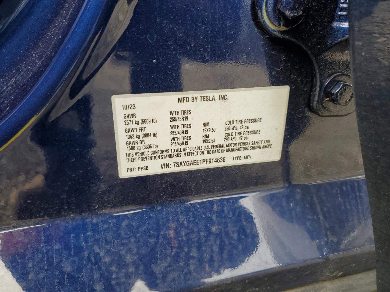 2023 TESLA MODEL Y VIN:7SAYGAEE1PF914636