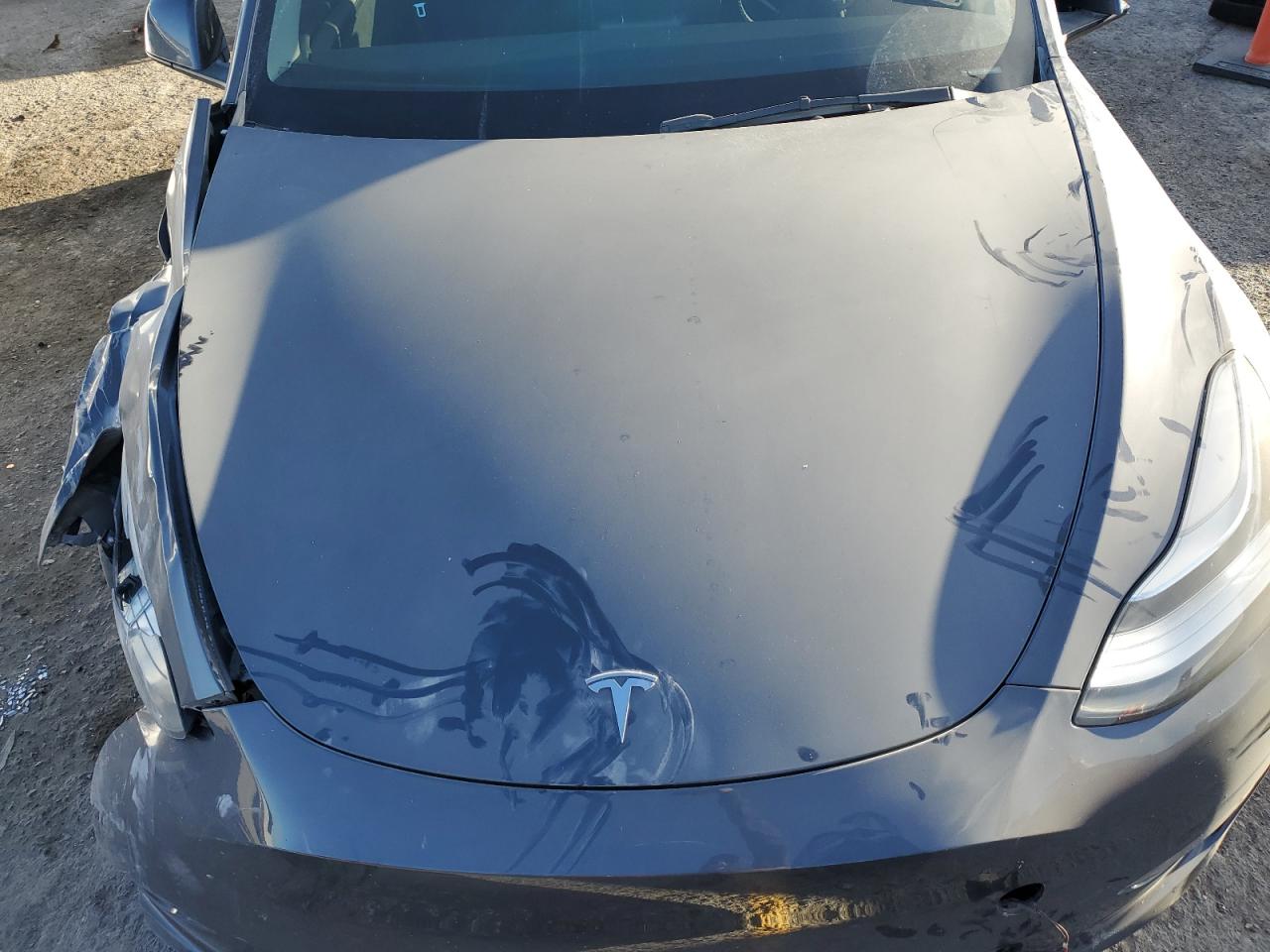 2023 TESLA MODEL Y VIN:7SAYGDEEXPA089615