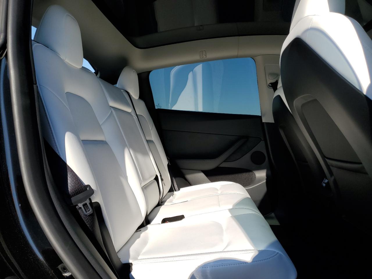 2023 TESLA MODEL Y VIN:7SAYGAEE5PF980509