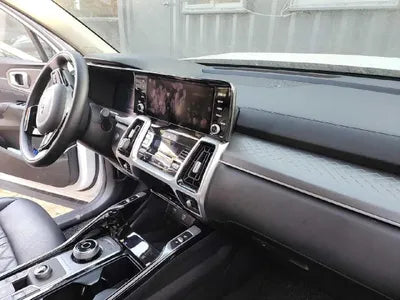 2020 Kia Sorento KNAPG81BBLA569568 VIN:KNAPG81BBLA569568