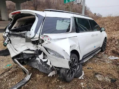 2022 Kia Carnival KNANE81BBNS170565 VIN:KNANE81BBNS170565
