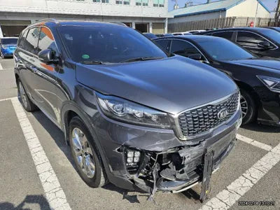 2019 Kia Sorento KNAPS81ABKA492073 VIN:KNAPS81ABKA492073