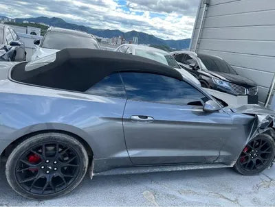 2021 Ford Mustang 1FATP8UH0M5131676 VIN:1FATP8UH0M5131676
