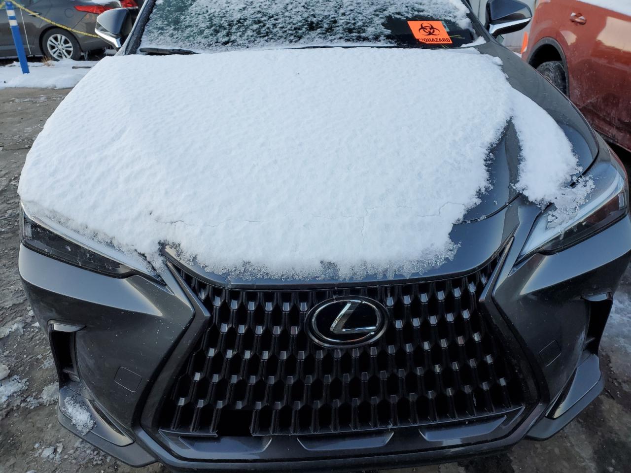 2024 LEXUS NX 350 BASE VIN:2T2AGCEZ9RC057644