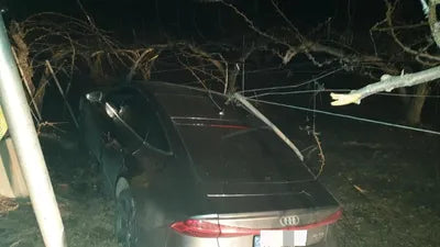 2021 Audi A7 WAUZZZF21MN002971 VIN:WAUZZZF21MN002971