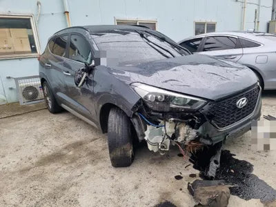 2018 Hyundai Tucson KMHJ5815GJU696427 VIN:KMHJ5815GJU696427