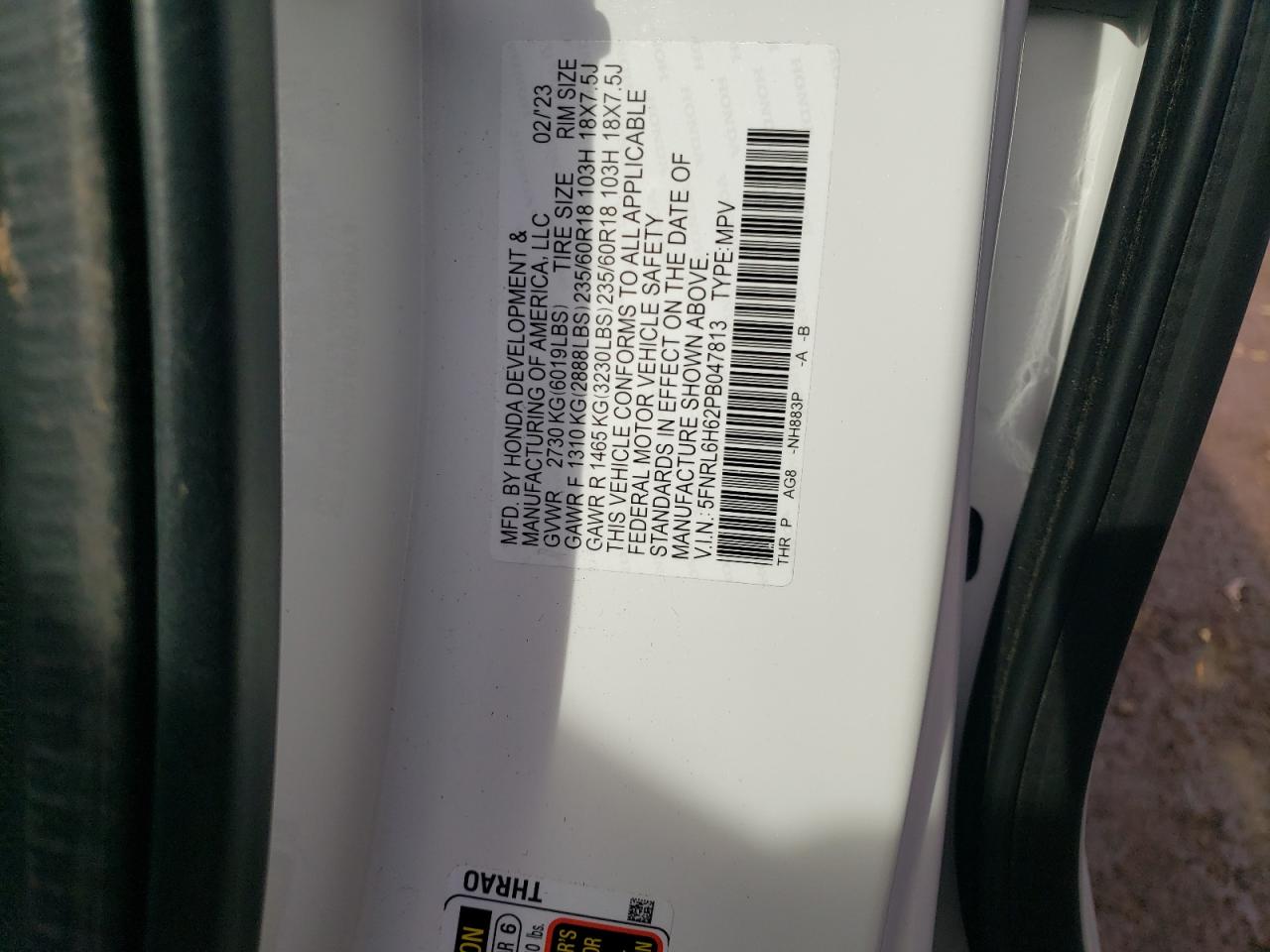 2023 HONDA ODYSSEY EXL VIN:5FNRL6H62PB047813