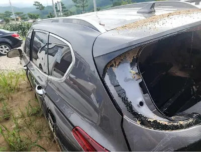2019 Hyundai Santa FE 862KMKMHS381BBKU1 VIN:862KMKMHS381BBKU1