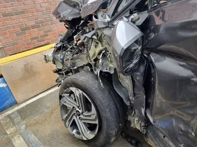 2021 Hyundai Santa FE KMHS281HGMU384949 VIN:KMHS281HGMU384949