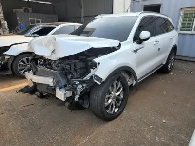 2021 Kia Sorento KNARF81BGMA102204 VIN:KNARF81BGMA102204