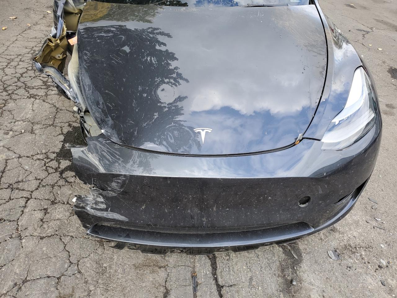 2024 TESLA MODEL Y VIN:7SAYGAEE8RF004842