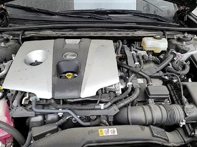 2020 Lexus ES 300 JTHBA1C18M2000918 VIN:JTHBA1C18M2000918