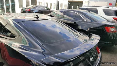 2020 Ford Mustang 1FA6P8TH9L5157402 VIN:1FA6P8TH9L5157402