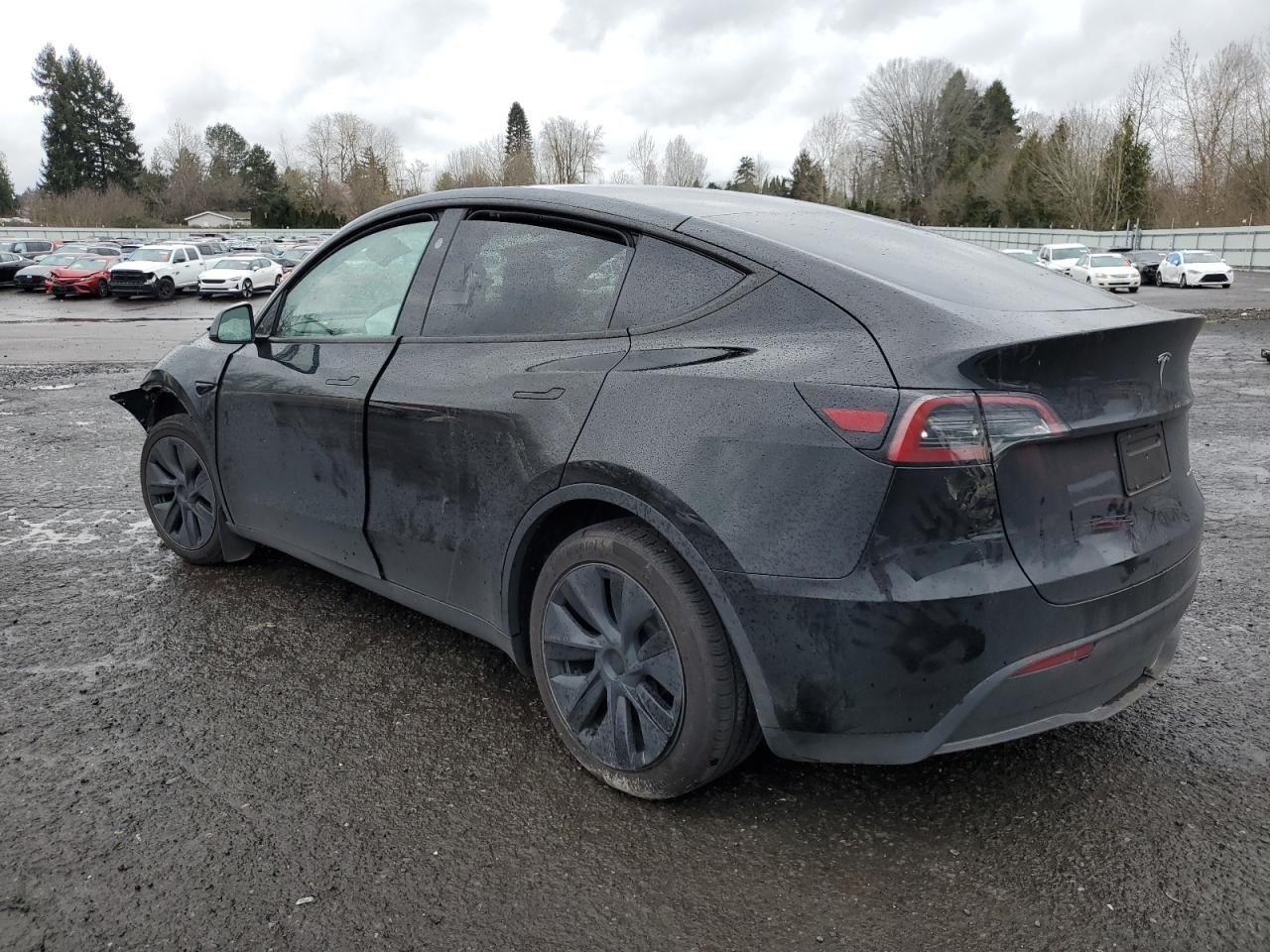 2024 TESLA MODEL Y VIN:7SAYGDEE2RF131085