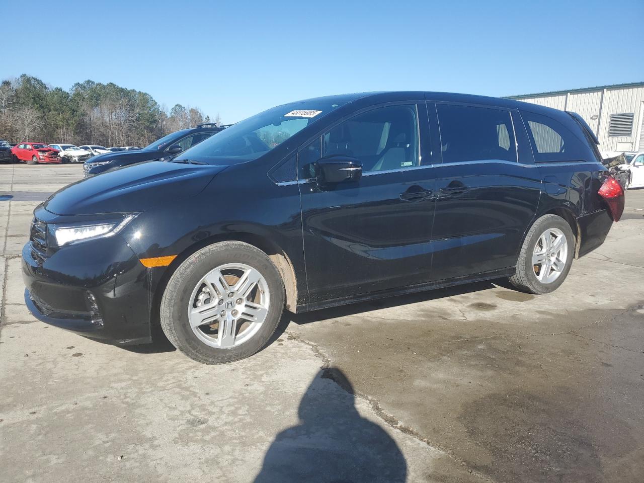 2024 HONDA ODYSSEY SPORT VIN:5FNRL6H74RB057822