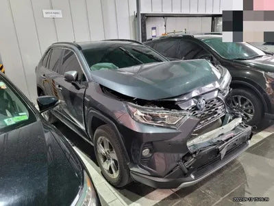 2019 Toyota RAV4 JTMDWRFV4KD030718 VIN:JTMDWRFV4KD030718