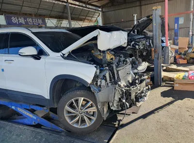 2019 Hyundai Santa FE KMHS281BBKU152315 VIN:KMHS281BBKU152315