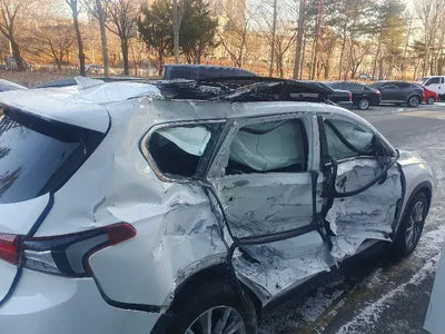 2020 Hyundai Santa FE 099KMKMHS281ADLU2 VIN:099KMKMHS281ADLU2