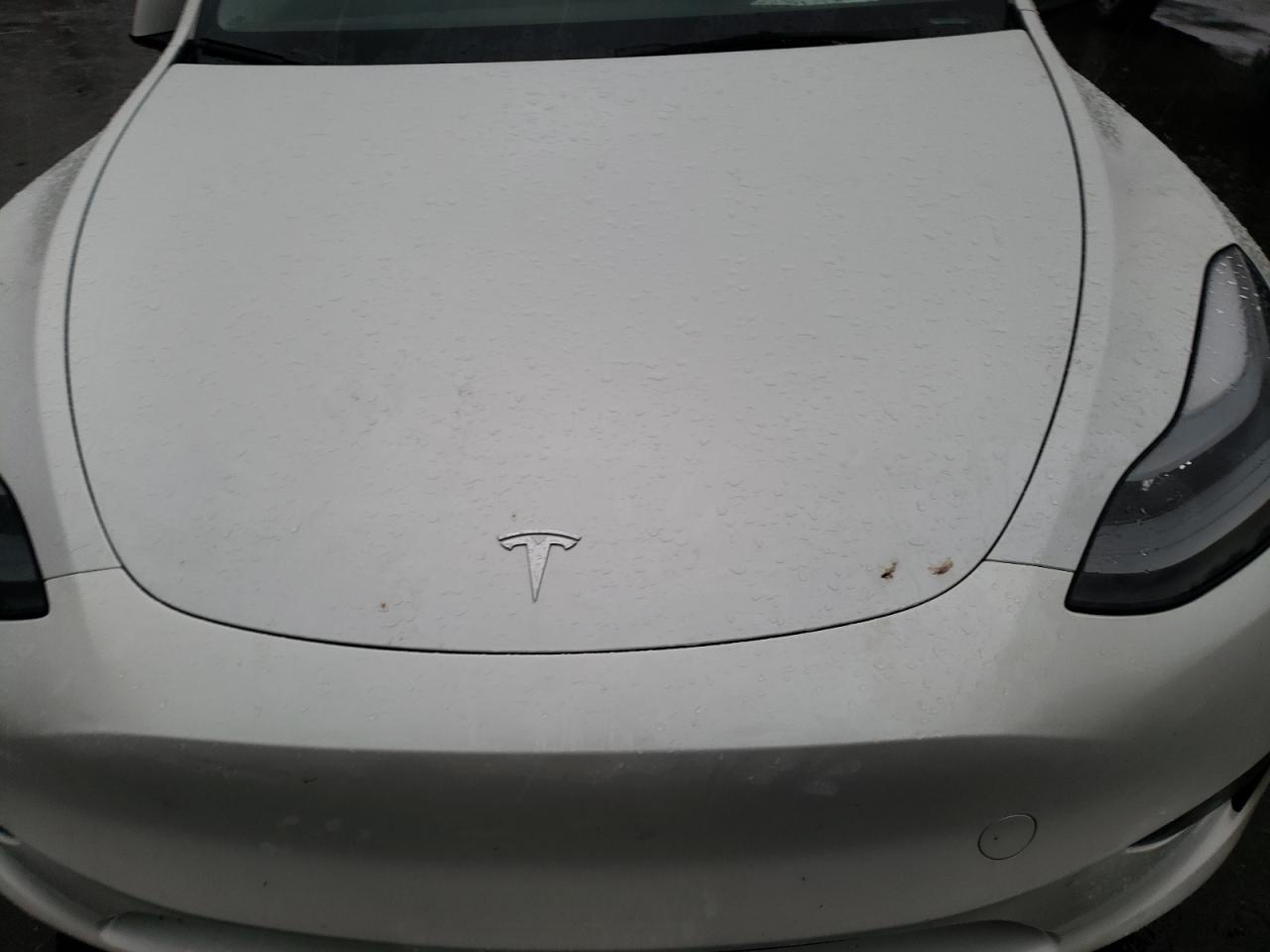 2024 TESLA MODEL Y VIN:7SAYGDEE8RF193395
