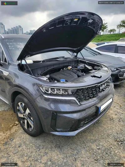 2022 Kia Sorento KNARF81FGPA170848 VIN:KNARF81FGPA170848
