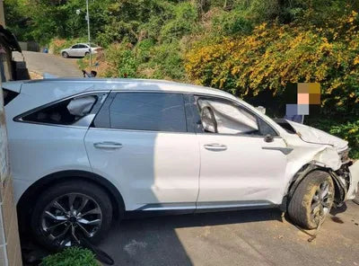 2020 Kia Sorento KNARK81BGMA002936 VIN:KNARK81BGMA002936