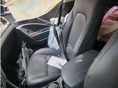 2016 Hyundai Santa FE KMHSW81UBGU643014 VIN:KMHSW81UBGU643014