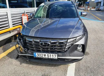 2021 Hyundai Tucson KMHJC81BGMU009847 VIN:KMHJC81BGMU009847