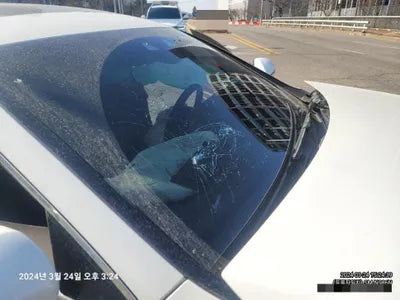 2019 Mercedes-Benz CLS 300 VIN: