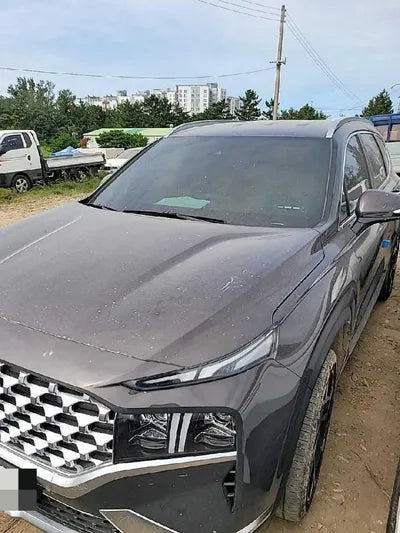 2021 Hyundai Santa FE KMHS381LHMU394906 VIN:KMHS381LHMU394906