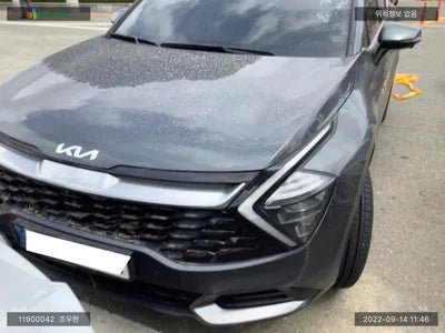 2022 Kia Sportage KNAPX81GBNK013500 VIN:KNAPX81GBNK013500